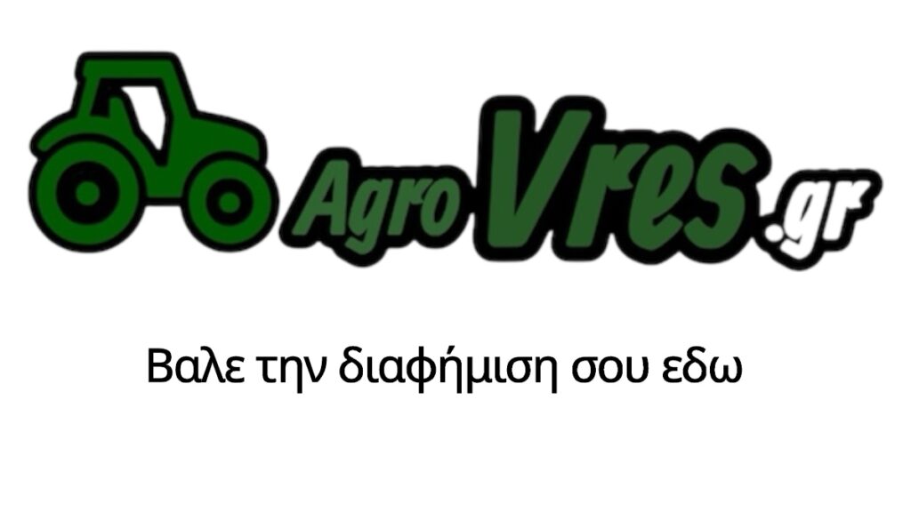 thumbnail_Photoroom_20250922_190437